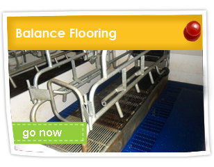 Balance Flooring