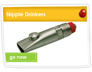 Nipple Drinkers