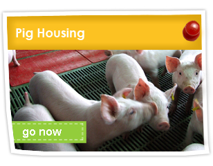 Pig Housing