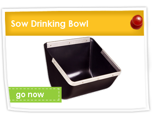 Sow Drinking Bowls